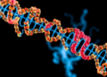 Blocking a Mitochondrial Fission Protein Could Strip Head and Neck Cancers of Radiation Resistance