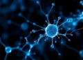 Neural Network Potentials Reveal Hidden Hydrogen Chemistry Inside Silicon Platelets