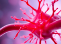 Cell Therapy Takes Aim at Rare Nerve Tumors in New Preclinical Breakthrough