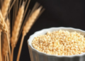 Novel Hybrid Cereal Tritordeum Bakes and Digests Differently Than Wheat, Study Finds