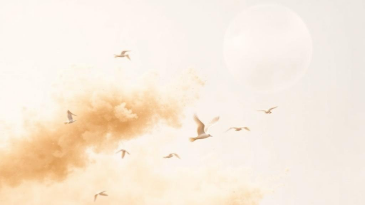 Gentle Winds, Not Calm Air, Sweep the Most Dust From the Sky