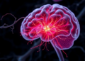 A Smell Receptor in the Brain Drives Neurite Growth Through CREB Signaling