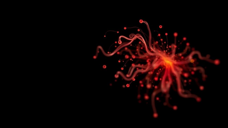 New Open-Source Tool Brings Order to the Chaos of Image Quality Metrics