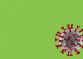 Aging Blunts Non-Spike T Cell Defenses After COVID Vaccines and Breakthrough Infection