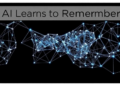 AI Learns to Remember: Topology-Guided Transfer Boosts Cross-Domain Action Recognition