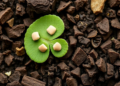 Sugar Tags on Plant Enzymes Decide Between Fungal Defense and Growth