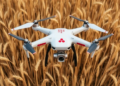 Drone Fusion Method Spots Wheat Rust Before It Devastates Fields