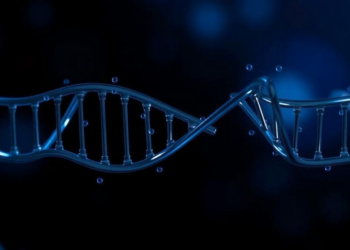 How a Leukaemia Mutation Hijacks Cell Division: New Clues from the Chromosome Periphery