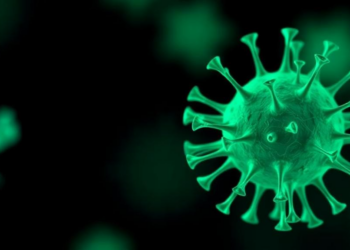 Plant Compound Hecogenin Emerges as Top Computational Candidate Against Epstein–Barr Virus