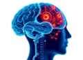 New AI Network Reads Brain Signals to Decode Imagined Movements with Record Accuracy