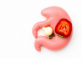 Solid Foods and the Gut: Why the Second Six Months May Define a Baby's Microbiome for Life