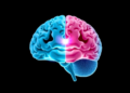 Split-Dose Radiation After Surgery Cuts Brain Tumor Recurrence in Landmark Trial