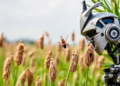 AI Transformer Hits 98% Accuracy Spotting Jute Pests Before They Devastate Crops