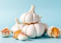 Cold Beats Packaging: Temperature Emerges as the Key to Keeping Garlic Fresh