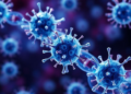 Immune Booster Cells Show Promise After Checkpoint Blockers in Liver Cancer