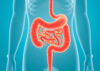 Bariatric Surgery Reshapes Thyroid Drug Needs and the Gut Microbiome