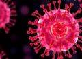 Immune Checkpoint Blockers and Engineered Cells Reshape the Fight Against Oral Cavity Cancer
