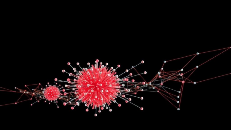 Entropy and Neighborhood Clues Supercharge Evolutionary Algorithms for Constrained Optimization