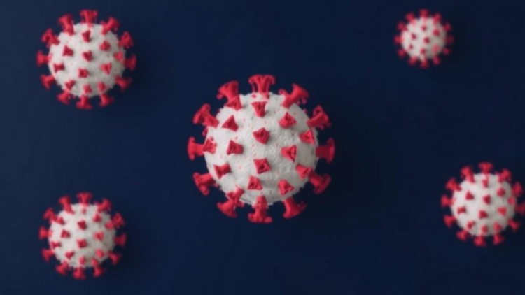 Epidemiologist Argues COVID Vaccine Effects on Overall Mortality Remain an Open Question