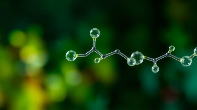 Pyrazole Chemistry Surges as New Wave of Bioactive Derivatives Emerges in 2025 and 2026