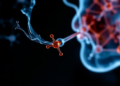 Scientists uncover how tobacco rewires head and neck cancer metabolism through a single mucin molecule