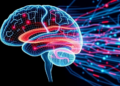Hidden Motion Maps Reveal a Secret Code in the Brain's Visual Cortex