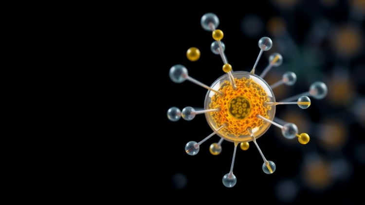 Particle Engineering and Formulation Science Move Toward Translational Drug Development