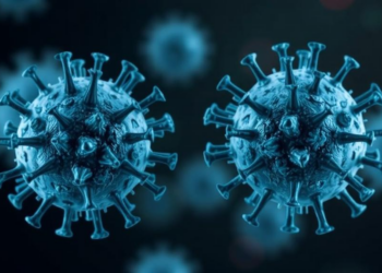 Immune Protein GBP7 Turns Traitor, Helping Herpes Simplex Virus Translate Its Way to Infection
