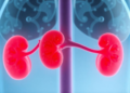 When Diabetics' Kidneys Fail Silently: The Albumin-Negative Kidney Disease That May Be a Different Condition Entirely
