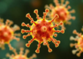 Scientists Find New Chemical Leads That Disarm a Deadly Hospital Superbug