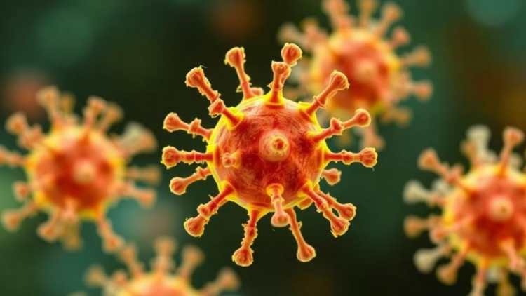 Scientists Find New Chemical Leads That Disarm a Deadly Hospital Superbug