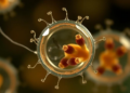 The Hidden Lives of Female Cryptosporidium Parasites