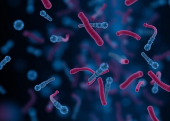 Oral Bacteria in the Bloodstream: Study Flags Dental Source Behind One-Third of Serious Streptococcal Infections