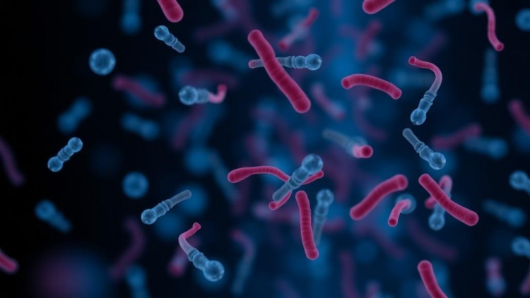 Oral Bacteria in the Bloodstream: Study Flags Dental Source Behind One-Third of Serious Streptococcal Infections