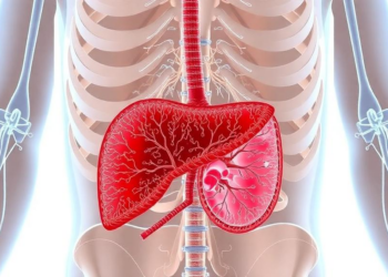Fat Rewrites the Rules of Liver Cancer Across Every Disease Stage
