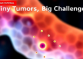 Tiny Tumors, Big Challenges: New Map of Pituitary Cancer Biology and Drug Delivery