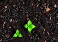 Biochar Supercharges Soil Structure by Rewriting the Invisible Forces Between Particles