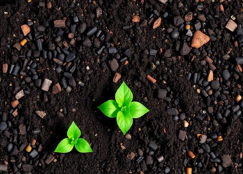 Biochar Supercharges Soil Structure by Rewriting the Invisible Forces Between Particles
