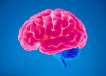 Diabetes and Obesity May Force the Aging Brain to Work Harder for Oxygen