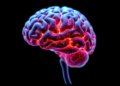 Immunotherapy Added to Standard Treatment Shows Early Promise Against Aggressive Brain Tumors