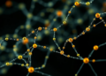 Graph Entropy Reveals Hidden Order in Hyper Carbon Nanotubes