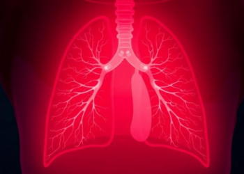 How Early-Life Exposures Leave Lasting Marks on the Preterm Lung