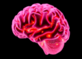 Alzheimer's Risk Gene BIN1 Acts as a Brake on Brain Inflammation
