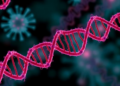 Pancreatic Cancer Cells Constantly Rewrite Their DNA to Outsmart Treatment