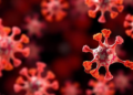 First-in-class NVL inhibitors starve tumors by blocking ribosome assembly