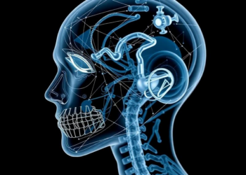 One AI model to fix them all: foundation network restores seven types of medical images