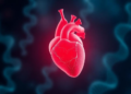 Genes May Predict Which Children With Heart Muscle Disease Face the Worst Outcomes