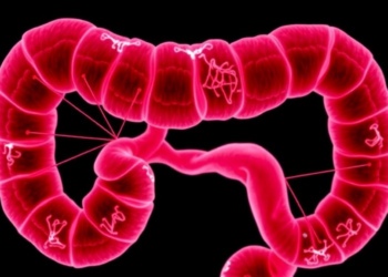 Misplaced Gap Junction Protein Drives Colorectal Cancer Spread—and Reveals a Drug Weakness