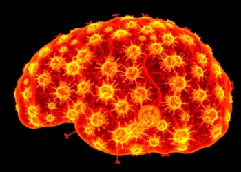 AI Deciphers the Hidden Spatial Rules That Guide Immune Cells Through Tissues