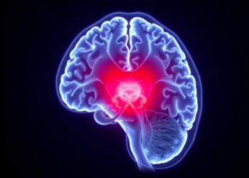 Weekly MRI Reveals Radiation's Early Fingerprint on the Brain's Memory Hub